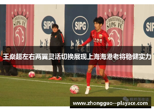 王燊超左右两翼灵活切换展现上海海港老将稳健实力