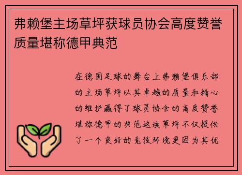 弗赖堡主场草坪获球员协会高度赞誉质量堪称德甲典范 弗赖堡主场草坪获球员协会高度赞誉质量堪称德甲典范